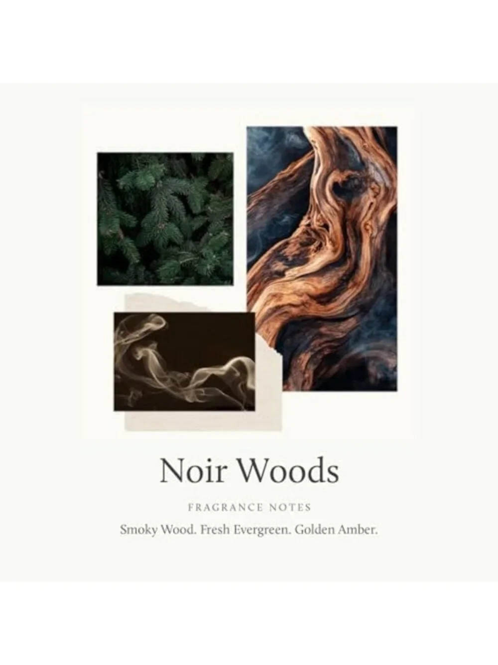 Luxury Scented Candle - Noir Woods, Fresh Evergreen & Smoky Amber - Home Decor